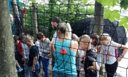 Clsh Ete 2016   013